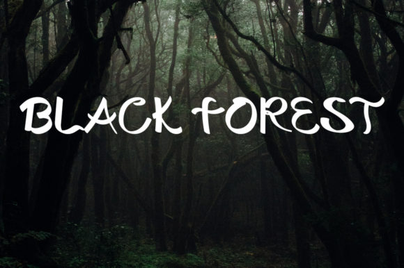 Black Forest: A Handwritten Font for Editorial Warmth