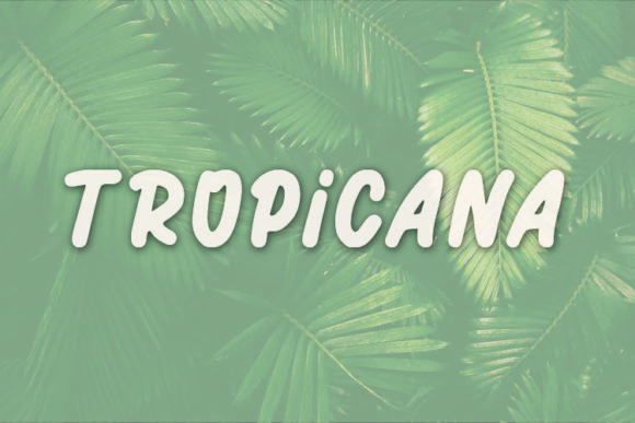 Choosing Tropicana for a Cozy Blog Redesign