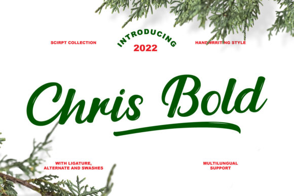 Chris Bold: A Handwritten Font That Elevates Digital Branding