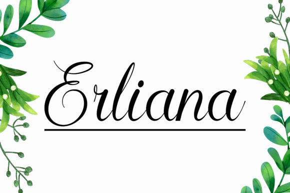 How Erliana Transformed My Brand’s Visual Identity