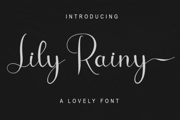 Lily Rainy Font for Modern Branding