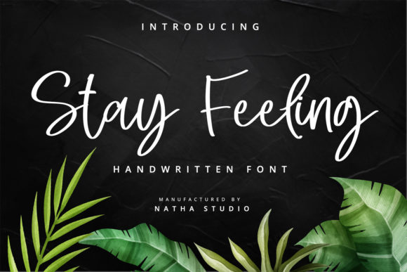 Stay Feeling: A Script Amp That Earns Its Space