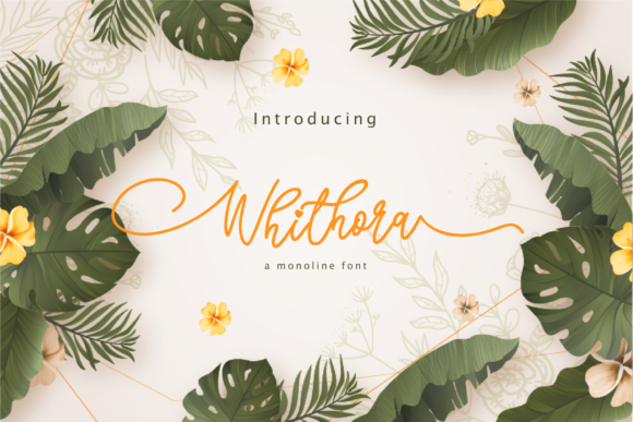 Whithora: A Delicate Script Font for Professional Branding